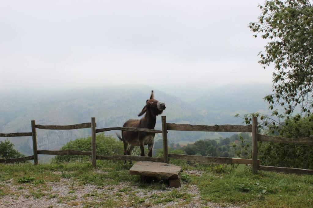 Los Pradones San Roque de Ríomiera Zewnętrze zdjęcie